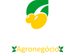 Porto Cereais